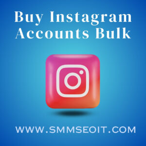 Buy Instagram Accounts Bulk